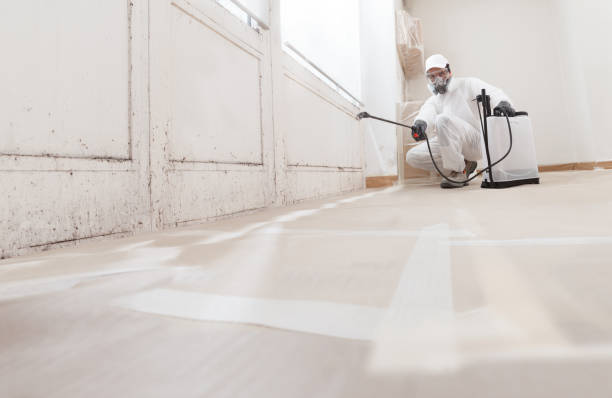 24/7 Emergency Basement Mold Remediation experts in Marshall, TX