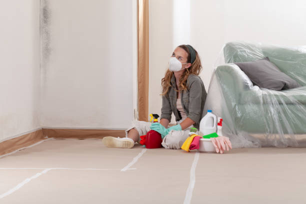 Reliable Basement Mold Remediation contractor in Marshall, TX by 24 Hour Mold Removal